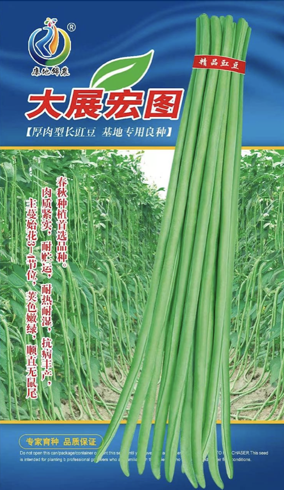 大展宏圖