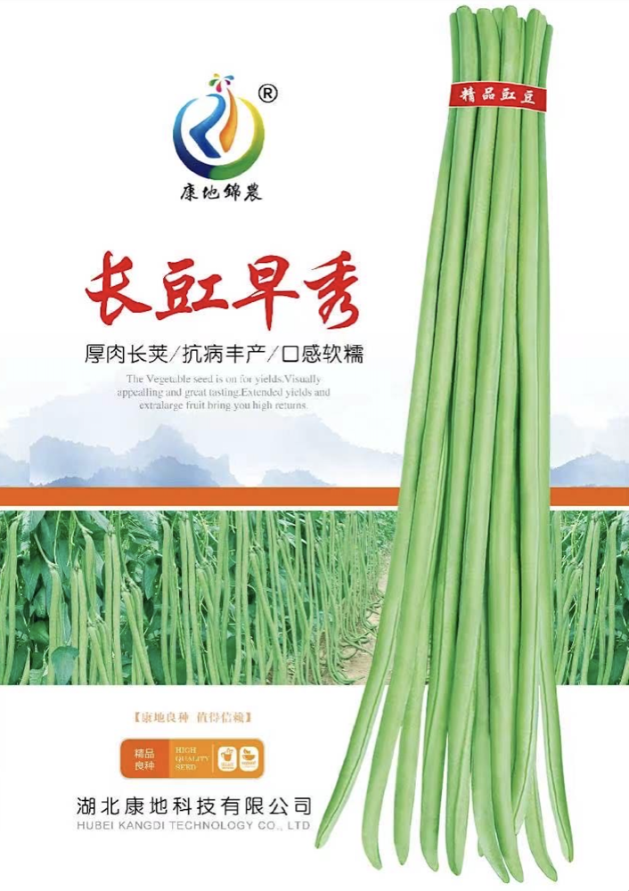 長豇早秀
