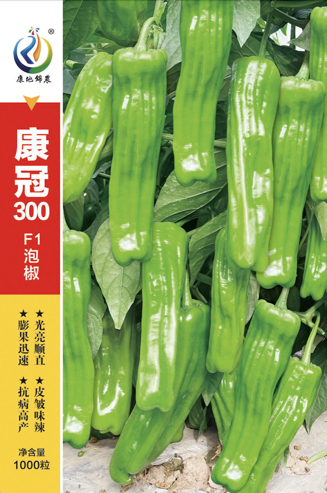 康冠300（新）