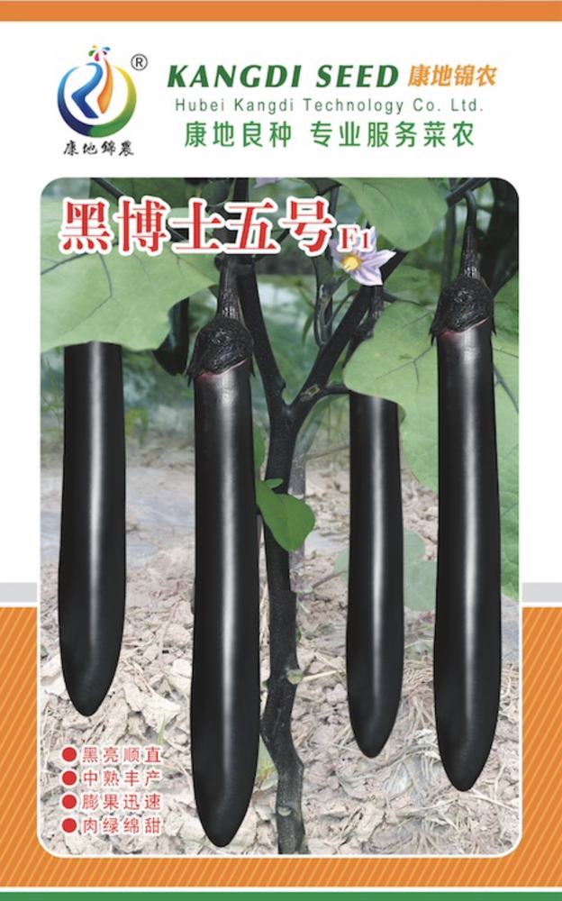 黑博士5號