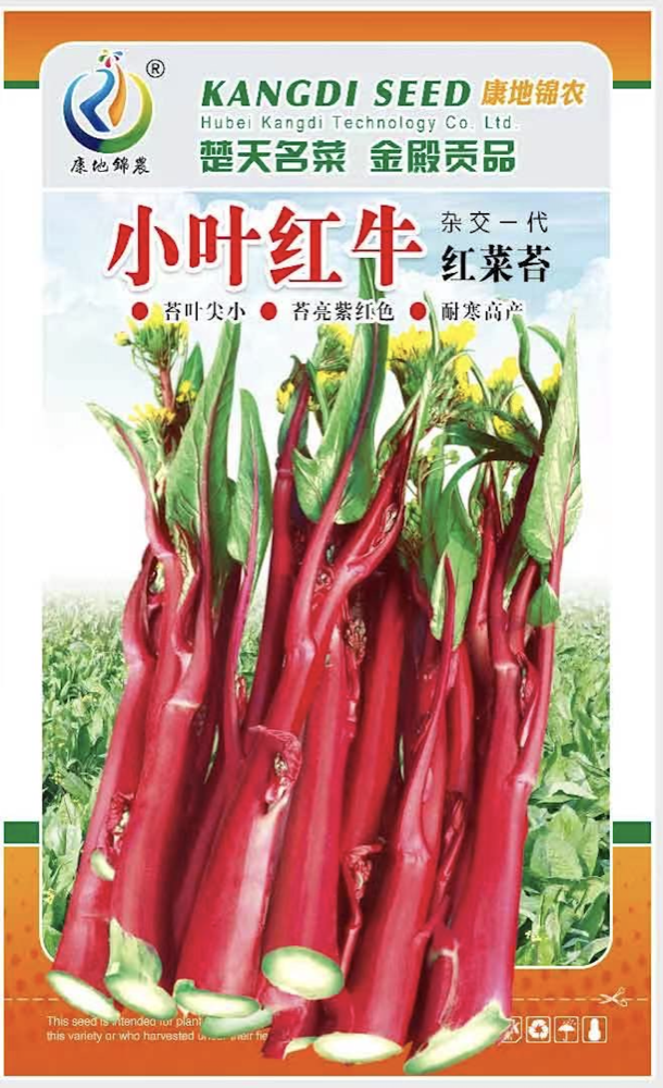 小葉紅牛