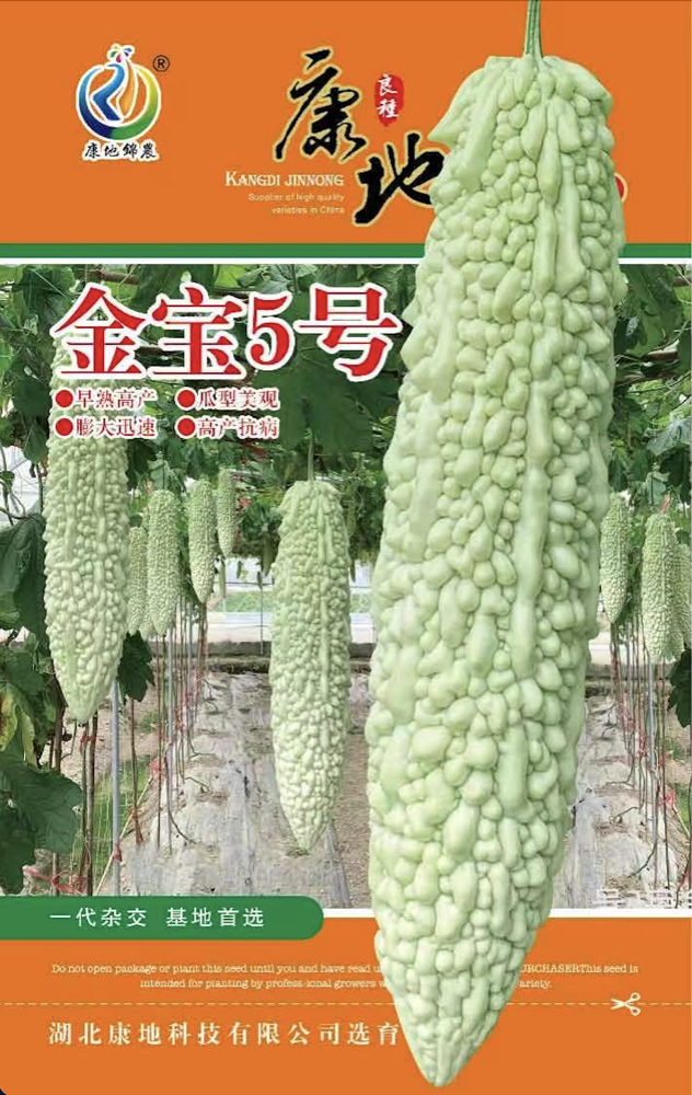 金寶五號(hào)
