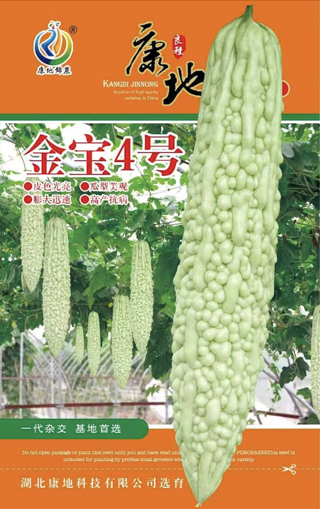 金寶四號(hào)